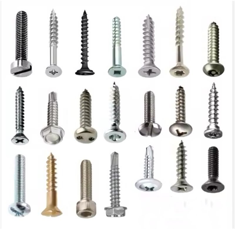 02 screw category display